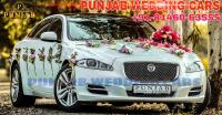 1283FB15D1-4BD4-4F3A-9F0B-8442C6AADA18.jpeg