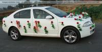 7SKODA_LAURA_-_FLORAL_-_SIDE_DECORATION_-_PUNJAB_WEDDING_CARS_-_JALANDHAR_-_PHAGWARA_HOSHIARPUR_81460-63555.jpg